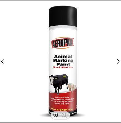 Pittura di segno animale